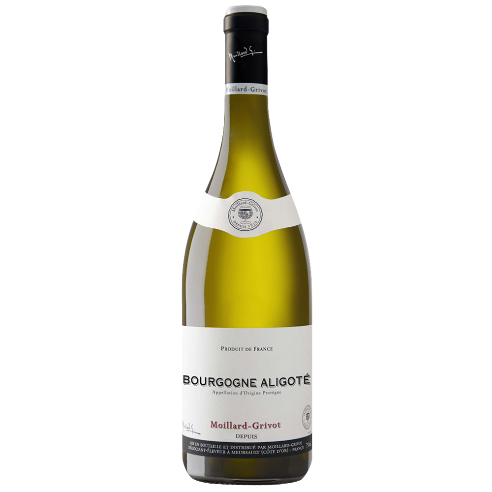 2024 Bourgogne Aligoté – Medovino