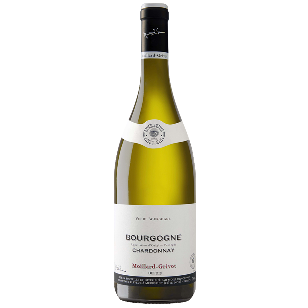 2023 Bourgogne Chardonnay
